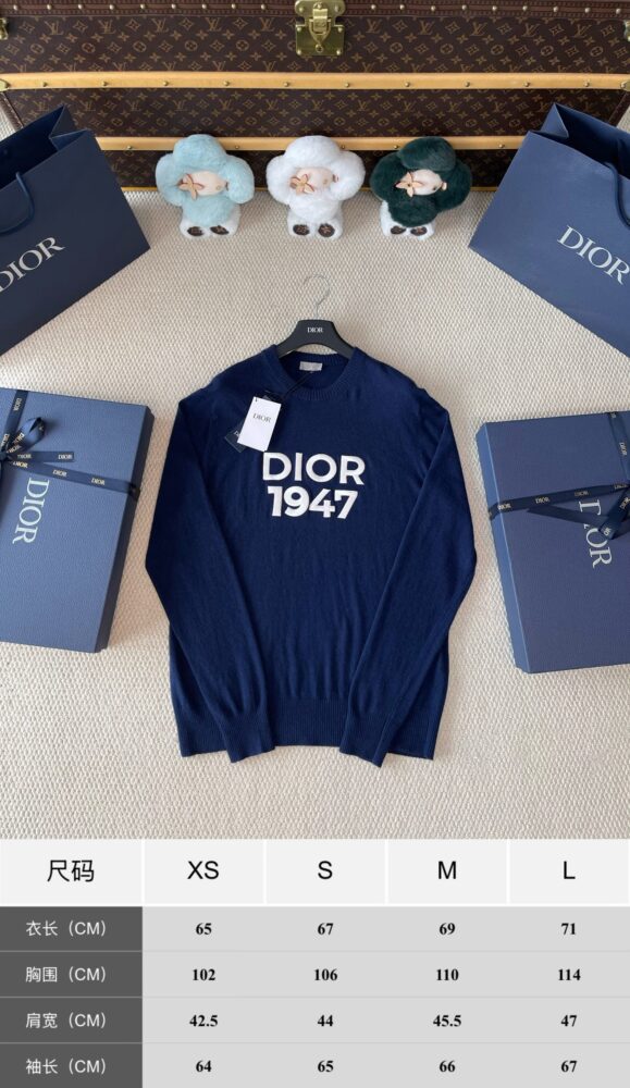 Áo v i p unisex D • ior 5552460 Xs/L