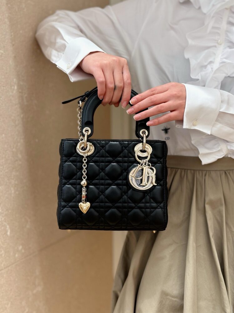 Túi D• ior lady 20x17x8cm