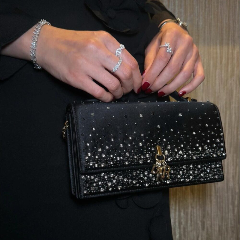 Túi My D• ior mini Satin thêu cườm 24x7.5x14cm