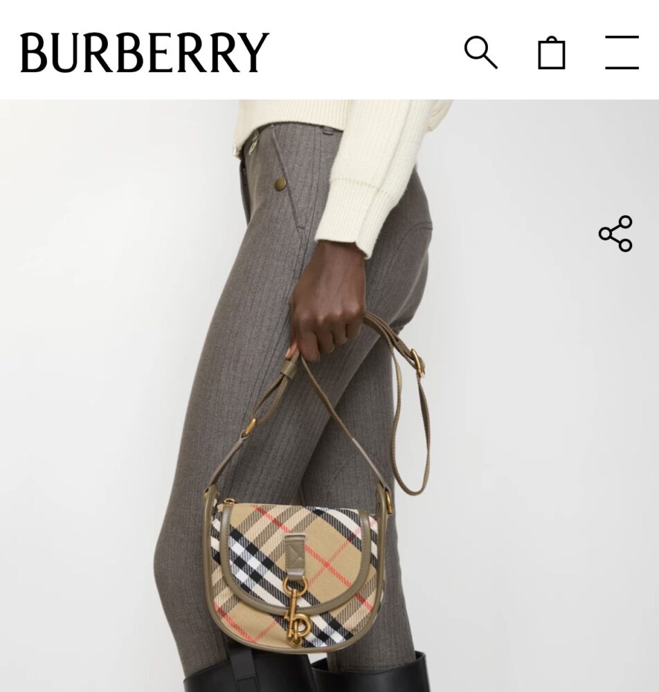 Túi BBR 1201 27.5x11x19cm