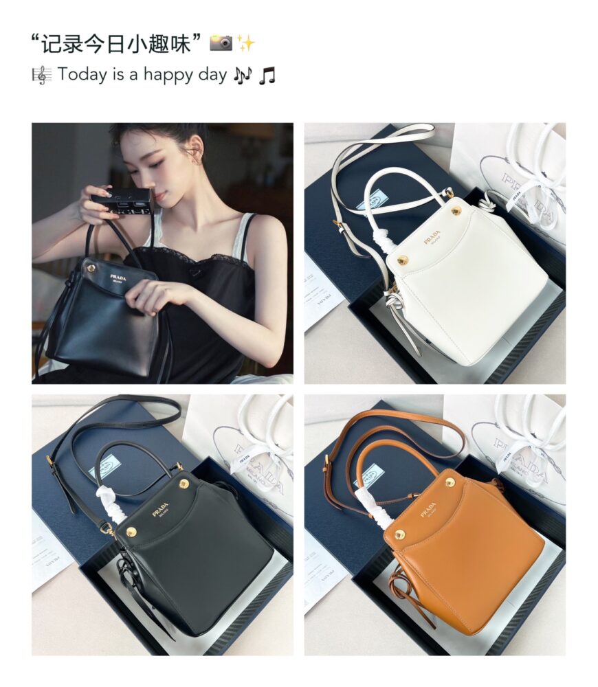 Túi P• rada 1BD496 21x19x7cm