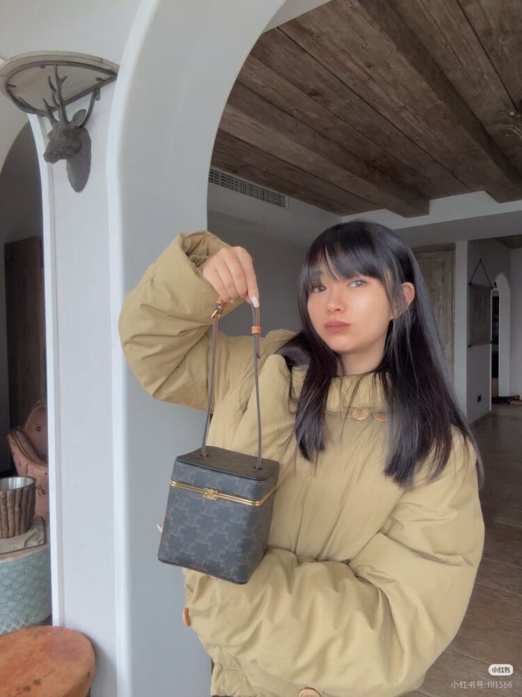 Túi C• eline Triomphe Frame 124232 12.5x12.5x12.5cm