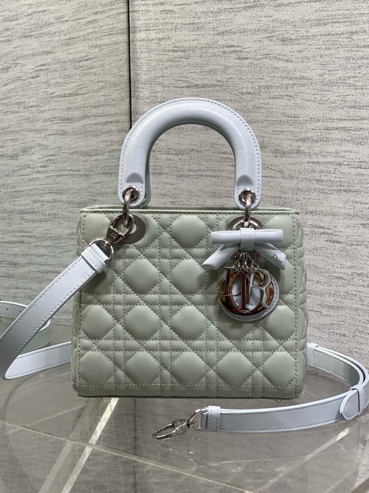 Túi CD lady mix màu charm nơ 20cm