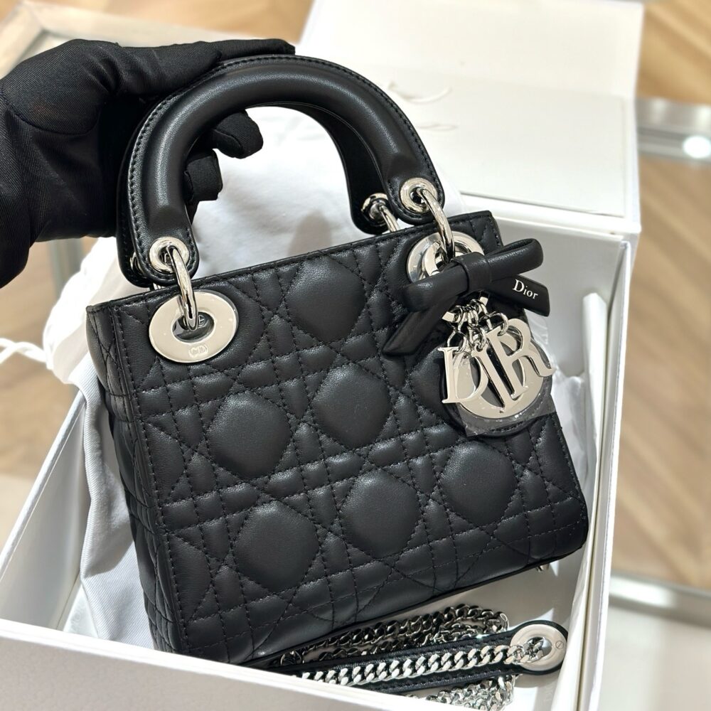 Vip Túi CD làdy charm nơ 17cm