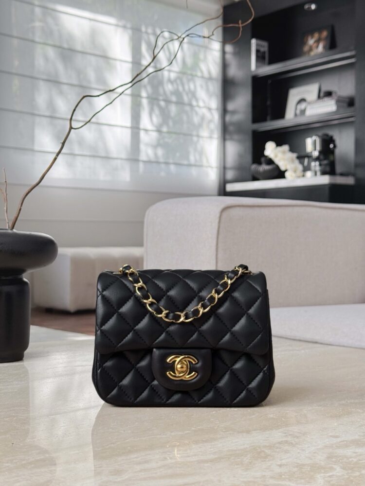(Da Pháp) Túi CN classic lambskin 17